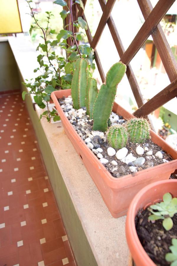 דירות לידו די אוסטיה Euforbia House מראה חיצוני תמונה